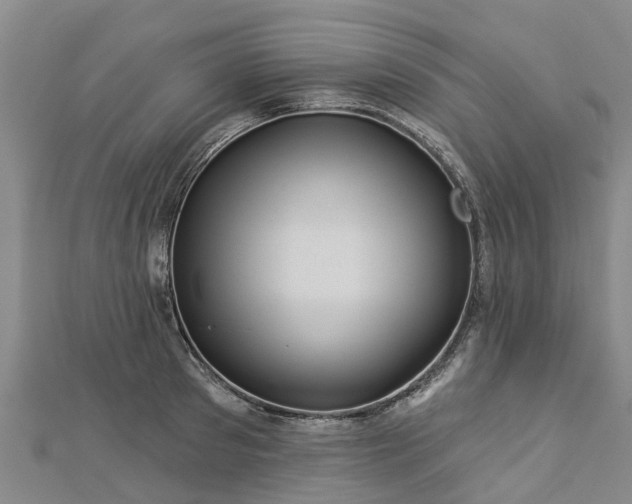 X0000113000897200909031251