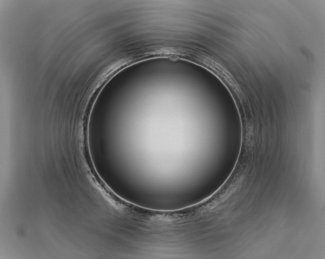 X0000113000898200909031251