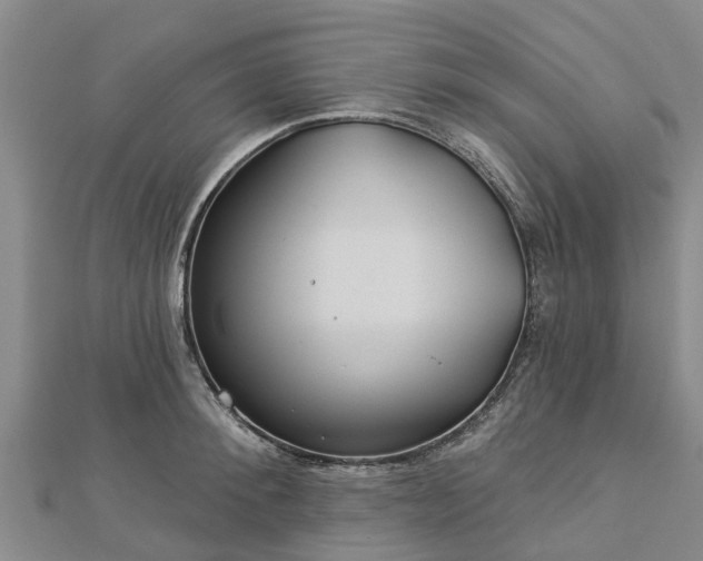 X0000113000900200909031251