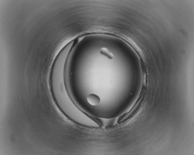 X0000113000901200909031251