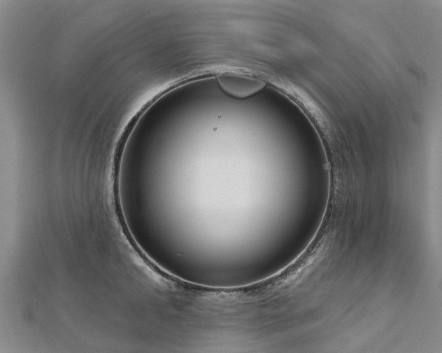 X0000113000902200909031251