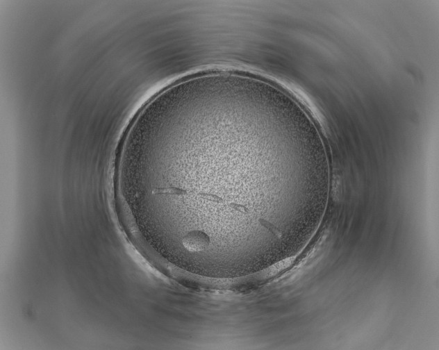 X0000113000903200909031251