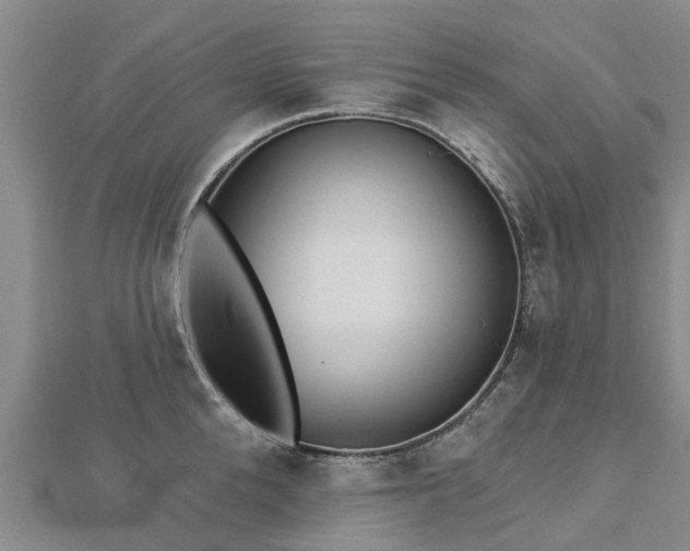 X0000113000904200909031251