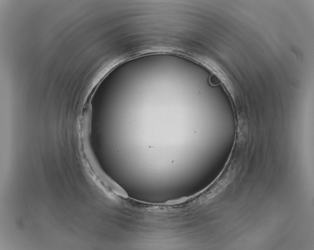 X0000113000906200909031251