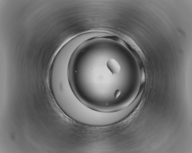 X0000113000908200909031251