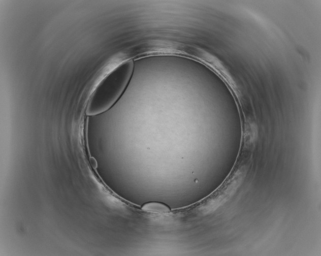 X0000113000909200909031251