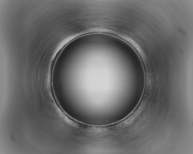 X0000113000910200909031251