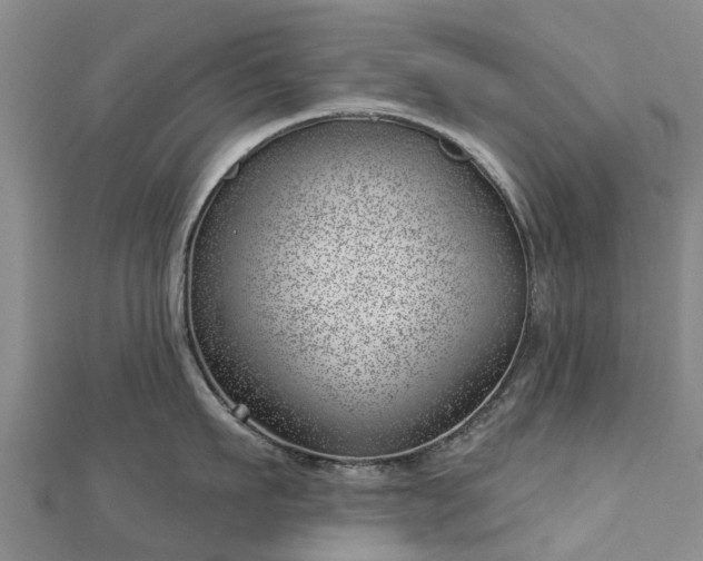 X0000113000911200909031251