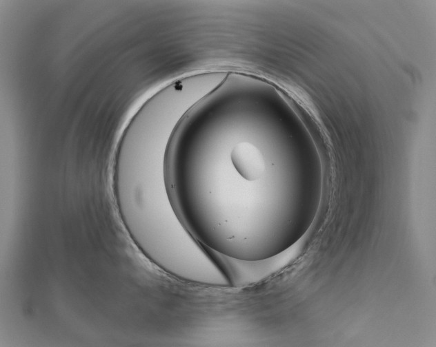 X0000113000912200909031251