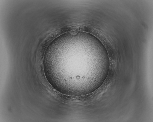 X0000113000913200909031250