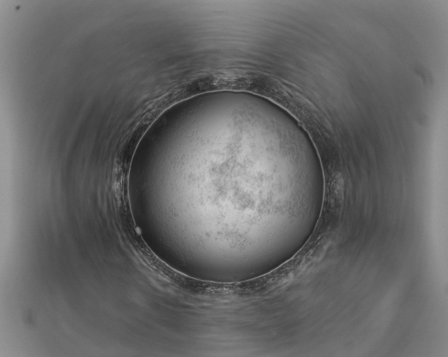 X0000113000914200909031250