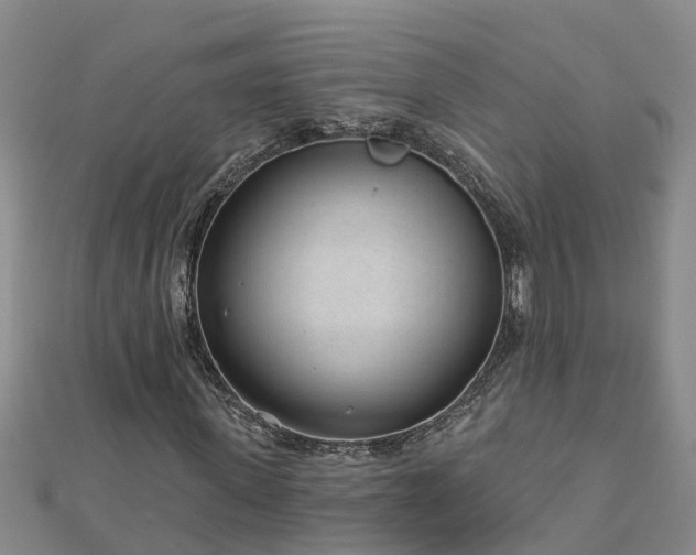 X0000113000915200909031250