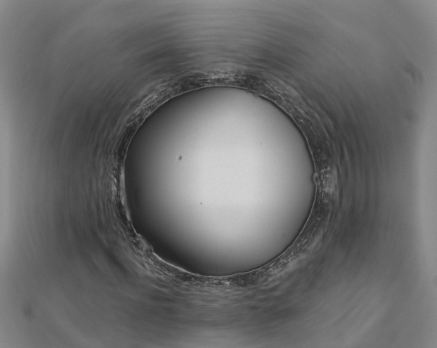 X0000113000916200909031250