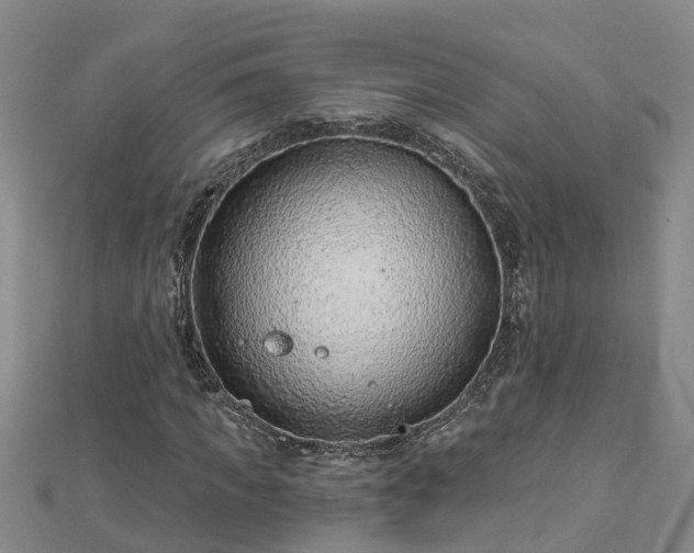 X0000113000917200909031250