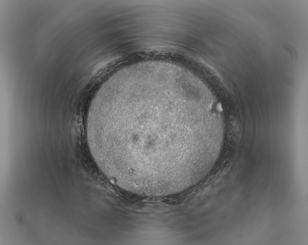 X0000113000918200909031250