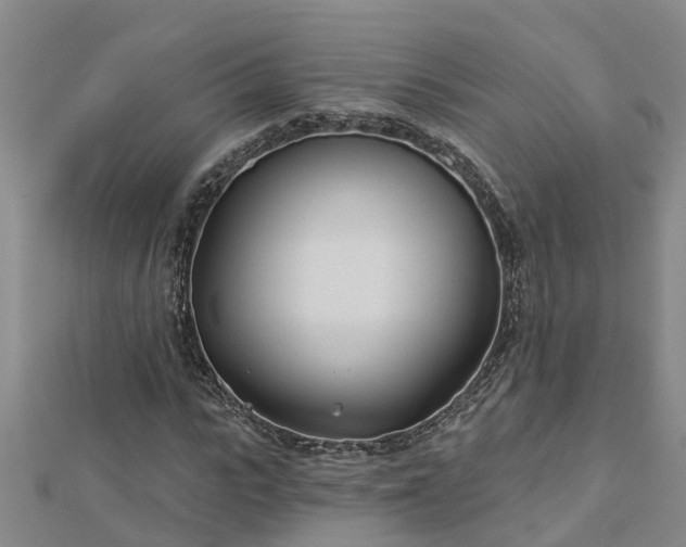 X0000113000919200909031250