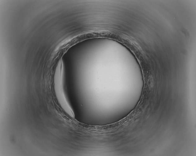 X0000113000920200909031250