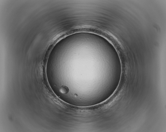 X0000113000921200909031250