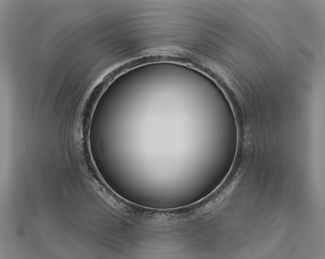 X0000113000923200909031250