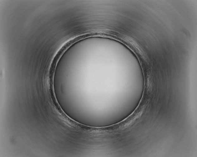 X0000113000924200909031250