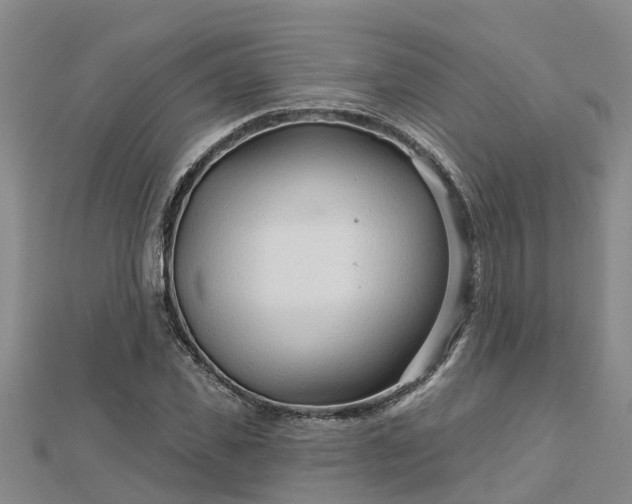 X0000113000925200909031250