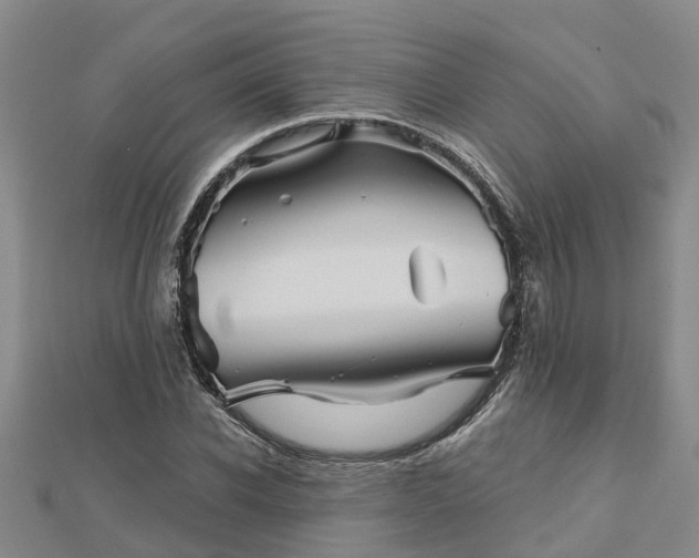 X0000113000926200909031250