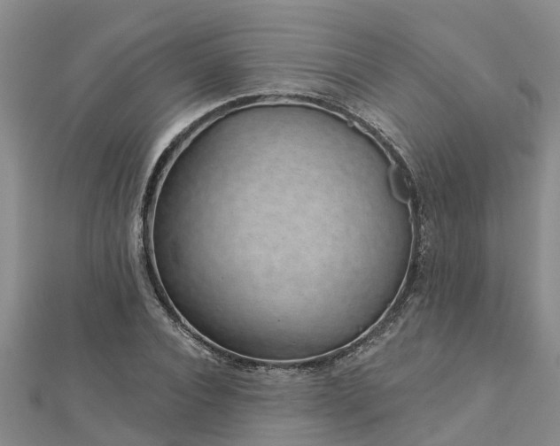 X0000113000928200909031250