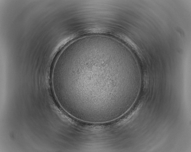 X0000113000930200909031250