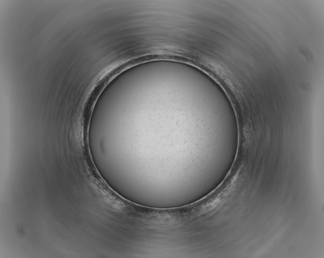 X0000113000931200909031250