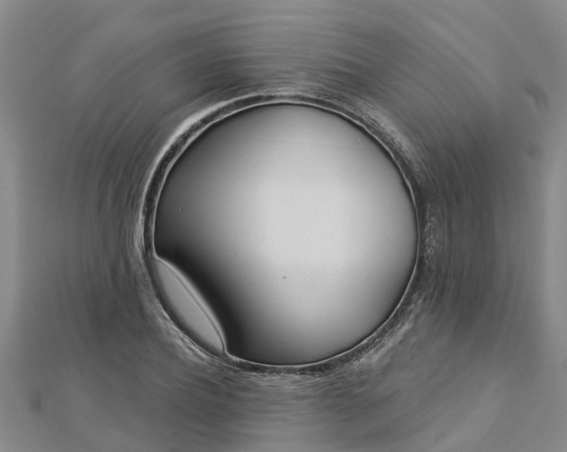 X0000113000932200909031250