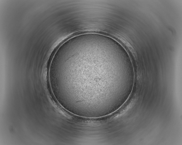 X0000113000933200909031250