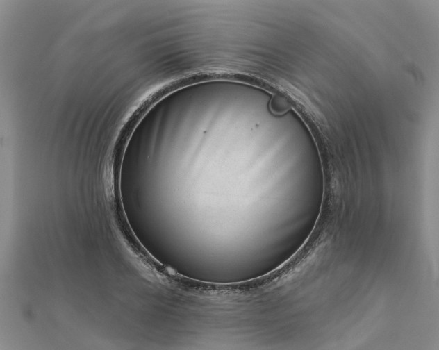 X0000113000934200909031250