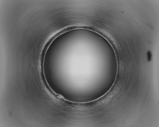 X0000113000935200909031250