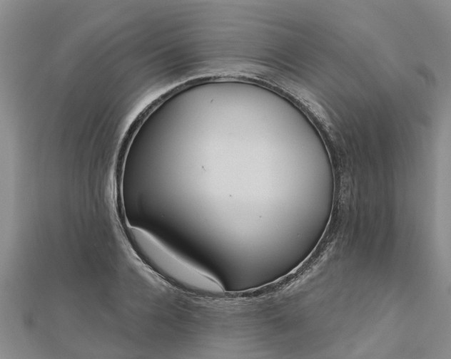 X0000113000936200909031250