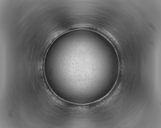 X0000113000937200909031250