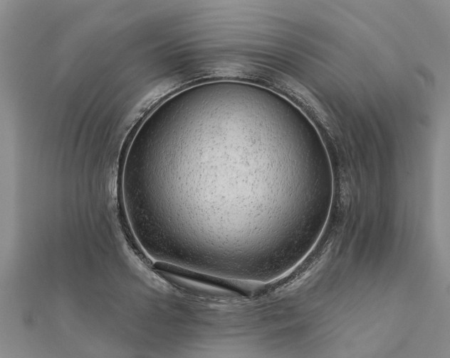 X0000113000938200909031250