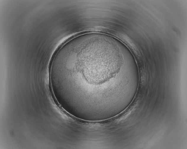 X0000113000940200909031250