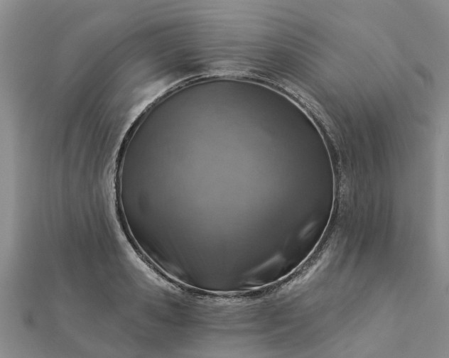 X0000113000941200909031250