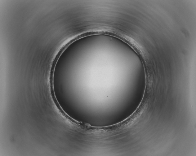 X0000113000943200909031250