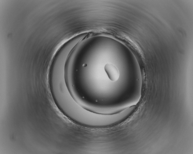 X0000113000944200909031250