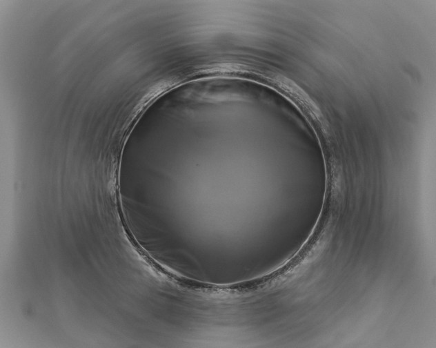 X0000113000945200909031250