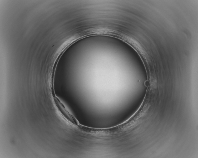 X0000113000946200909031250