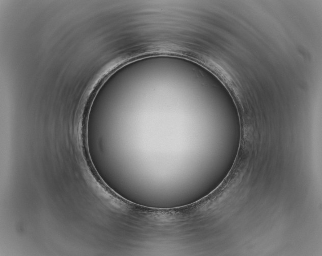 X0000113000947200909031250