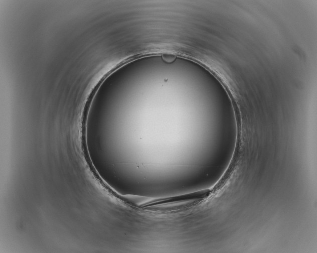 X0000113000949200909031250