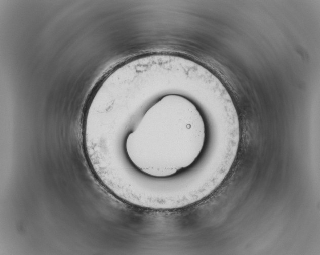 X0000113000950200909031250