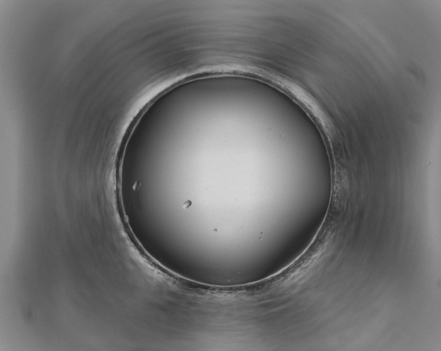 X0000113000951200909031250