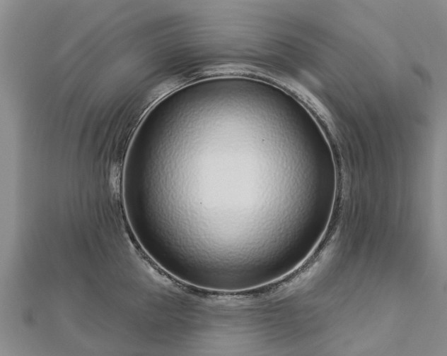 X0000113000953200909031250