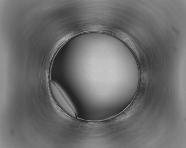 X0000113000954200909031251