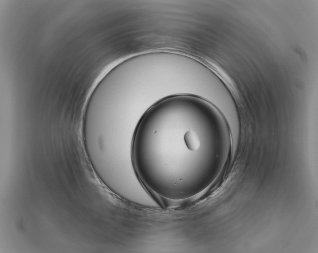 X0000113000956200909031251