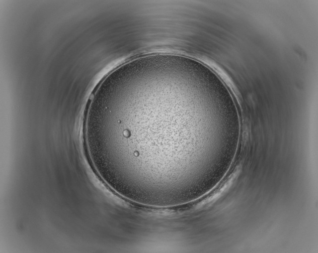 X0000113000957200909031251